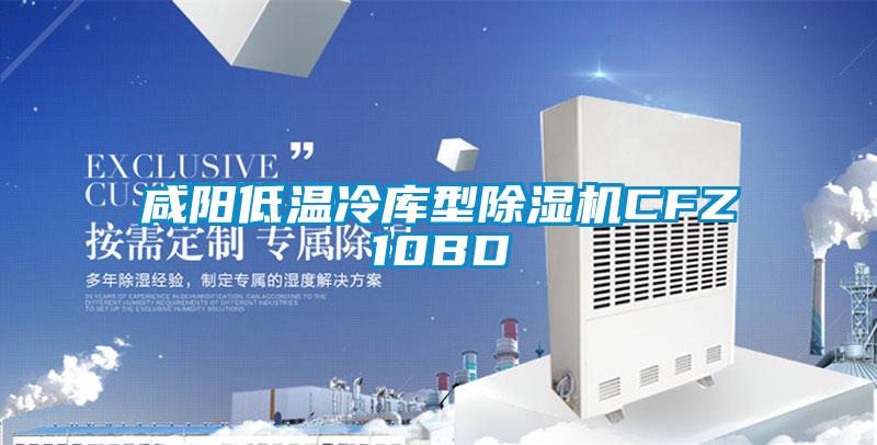 咸阳低温冷库型粉色视频免费在线观看CFZ10BD