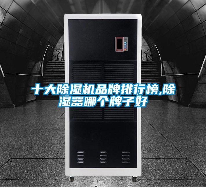 十大粉色视频免费在线观看品牌排行榜,除湿器哪个牌子好