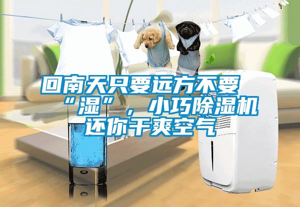 回南天只要远方不要“湿”，小巧粉色视频免费在线观看还你干爽空气