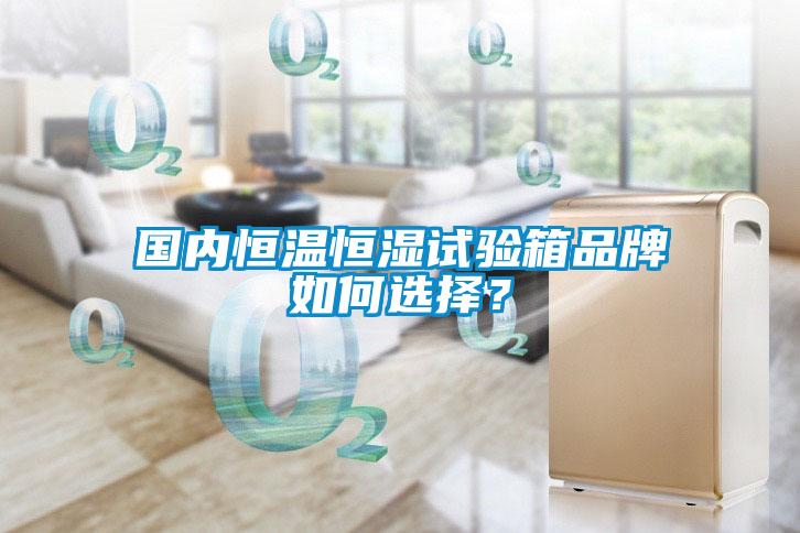 国内恒温恒湿试验箱品牌如何选择？