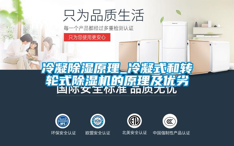冷凝除湿原理_冷凝式和转轮式粉色视频免费在线观看的原理及优劣