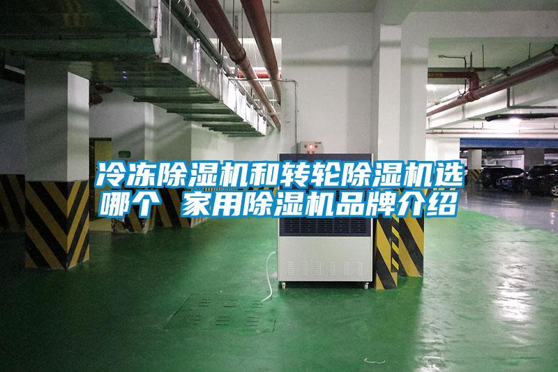 冷冻粉色视频免费在线观看和转轮粉色视频免费在线观看选哪个 家用粉色视频免费在线观看品牌介绍