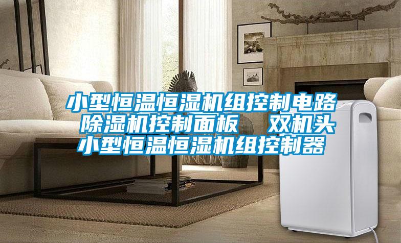 小型恒温恒湿机组控制电路 粉色视频免费在线观看控制面板  双机头小型恒温恒湿机组控制器