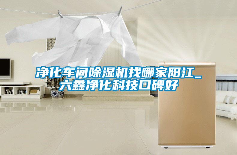 净化车间粉色视频免费在线观看找哪家阳江_六鑫净化科技口碑好