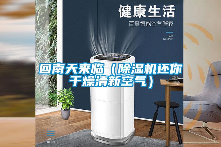 回南天来临（粉色视频免费在线观看还你干燥清新空气）