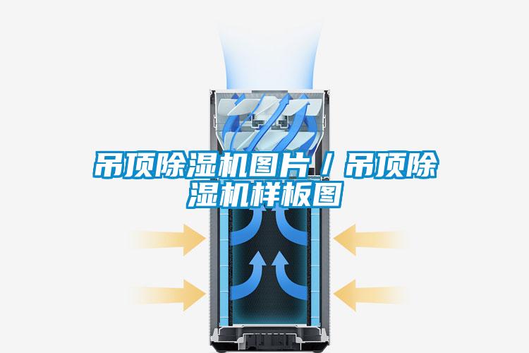 吊顶粉色视频免费在线观看图片／吊顶粉色视频免费在线观看样板图