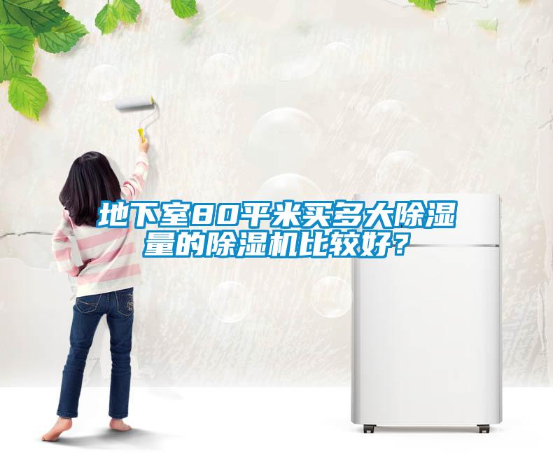 地下室80平米买多大除湿量的粉色视频免费在线观看比较好？