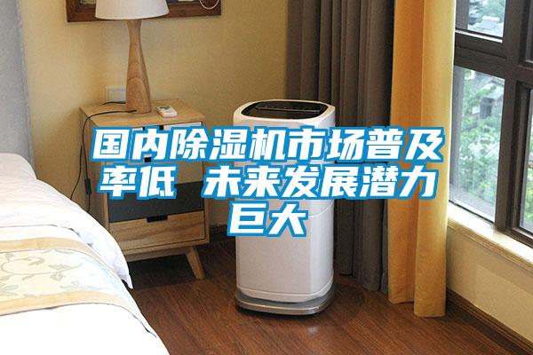 国内粉色视频免费在线观看市场普及率低 未来发展潜力巨大