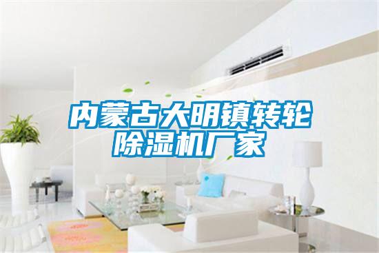 内蒙古大明镇转轮粉色视频免费在线观看厂家