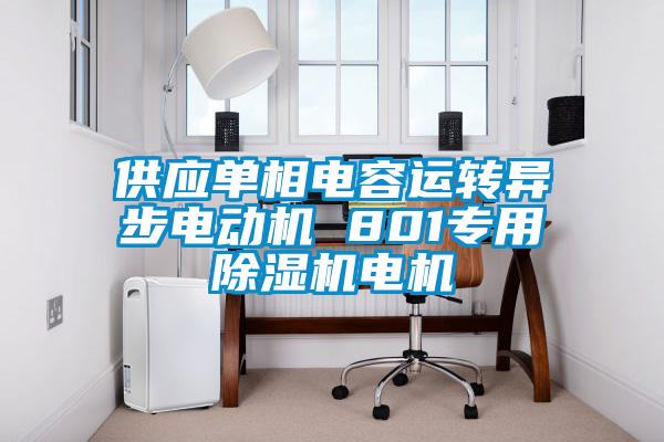 供应单相电容运转异步电动机 801专用粉色视频免费在线观看电机