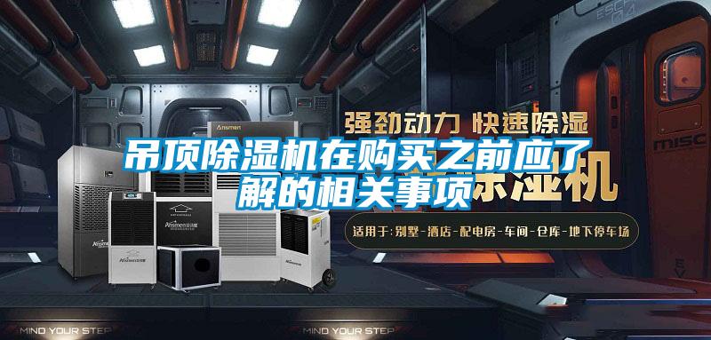 吊顶粉色视频免费在线观看在购买之前应了解的相关事项