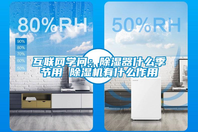 互联网学问：除湿器什么季节用 粉色视频免费在线观看有什么作用