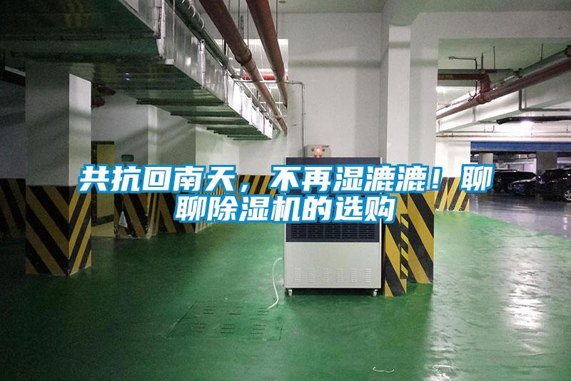 共抗回南天，不再湿漉漉！聊聊粉色视频免费在线观看的选购