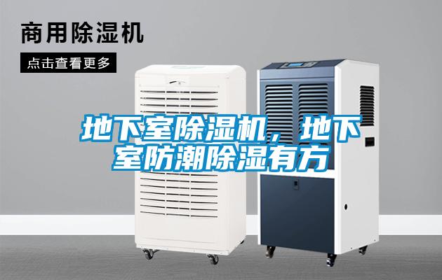 地下室粉色视频免费在线观看，地下室防潮除湿有方