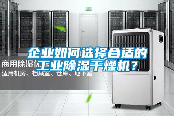 企业如何选择合适的工业除湿干燥机？