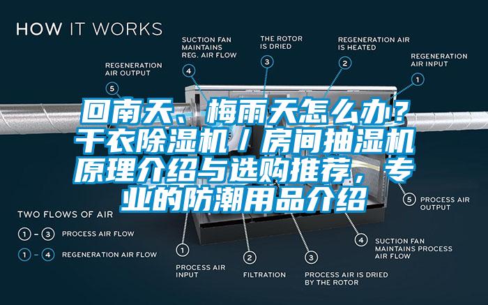 回南天、梅雨天怎么办？干衣粉色视频免费在线观看／房间抽湿机原理介绍与选购推荐，专业的防潮用品介绍