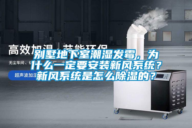 别墅地下室潮湿发霉，为什么一定要安装新风系统？新风系统是怎么除湿的？