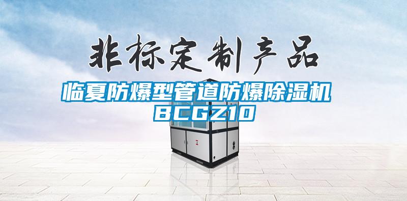 临夏防爆型管道防爆粉色视频免费在线观看 BCGZ10