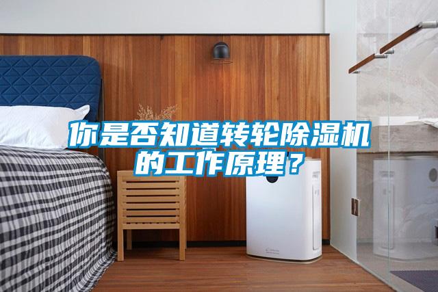 你是否知道转轮粉色视频免费在线观看的工作原理？
