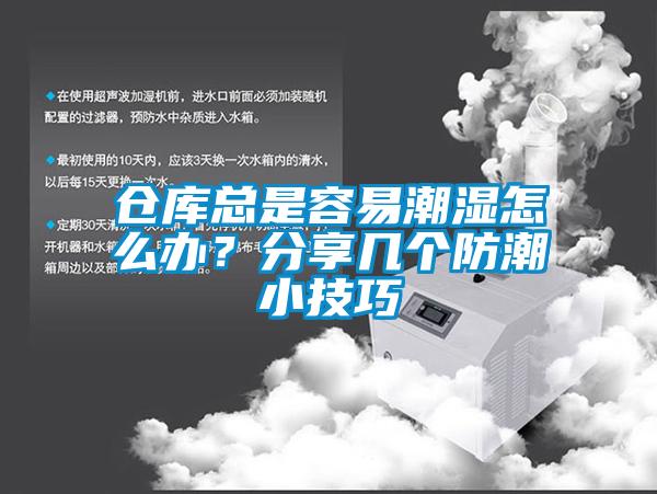 仓库总是容易潮湿怎么办？分享几个防潮小技巧