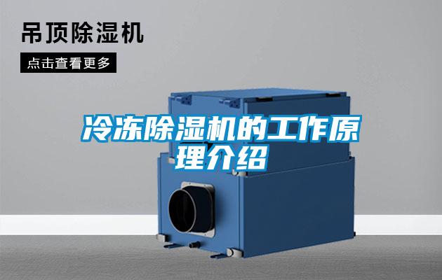 冷冻粉色视频免费在线观看的工作原理介绍