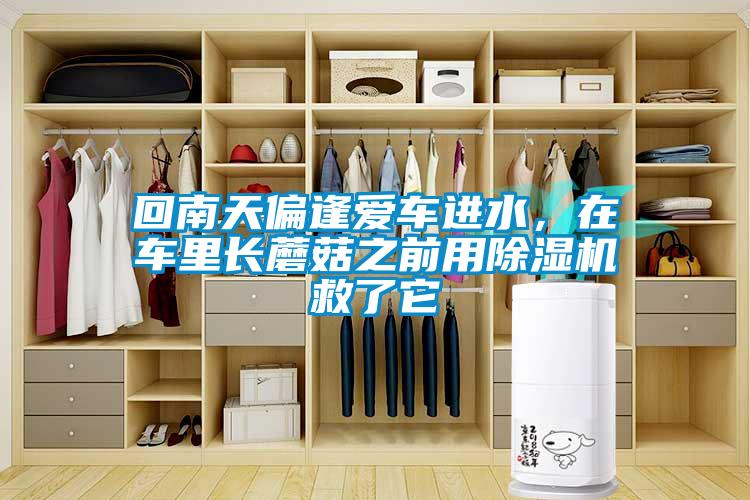 回南天偏逢爱车进水，在车里长蘑菇之前用粉色视频免费在线观看救了它