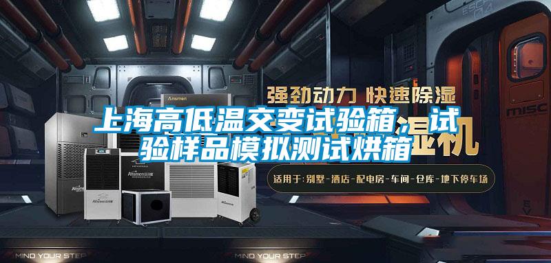 上海高低温交变试验箱，试验样品模拟测试烘箱