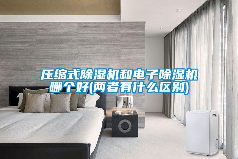 压缩式粉色视频免费在线观看和电子粉色视频免费在线观看哪个好(两者有什么区别)