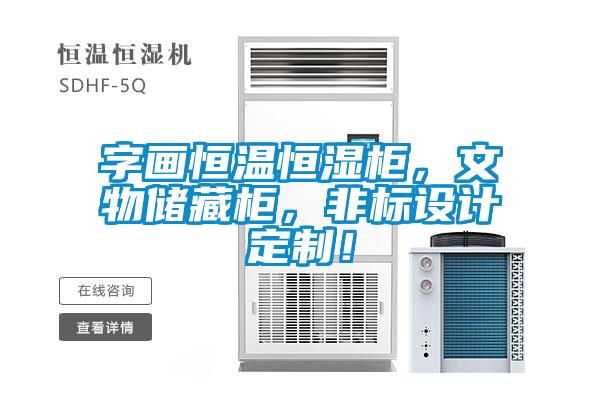 字画恒温恒湿柜，文物储藏柜，非标设计定制！