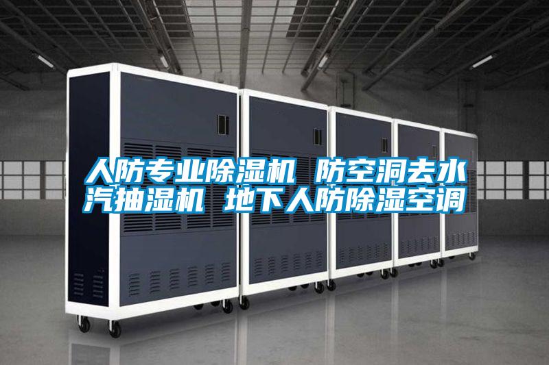 人防专业粉色视频免费在线观看 防空洞去水汽抽湿机 地下人防除湿空调