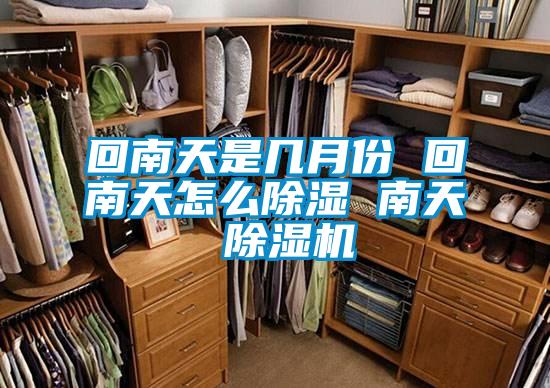 回南天是几月份 回南天怎么除湿 南天 粉色视频免费在线观看