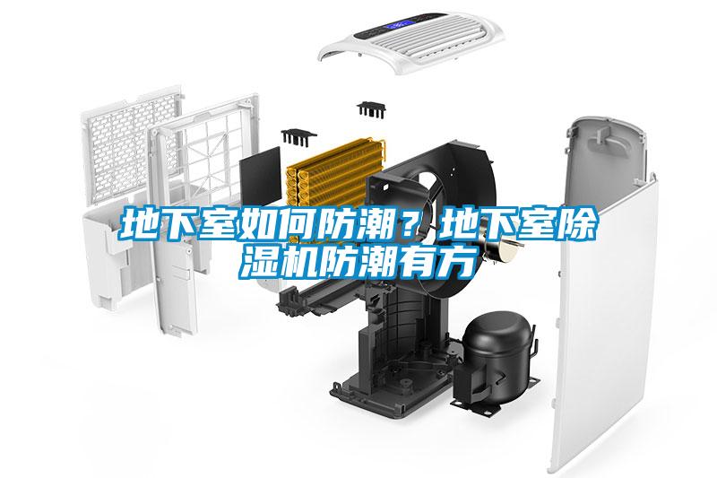 地下室如何防潮？地下室粉色视频免费在线观看防潮有方