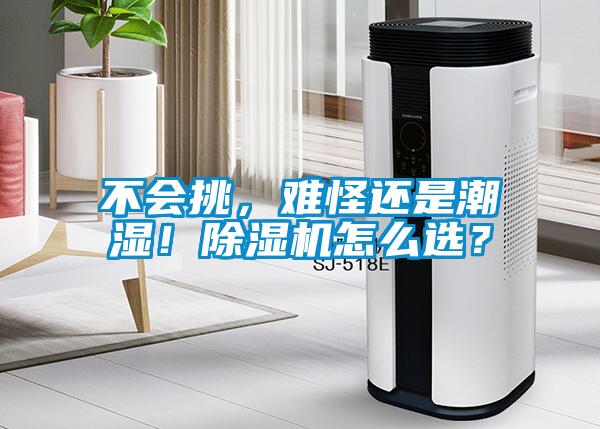 不会挑，难怪还是潮湿！粉色视频免费在线观看怎么选？