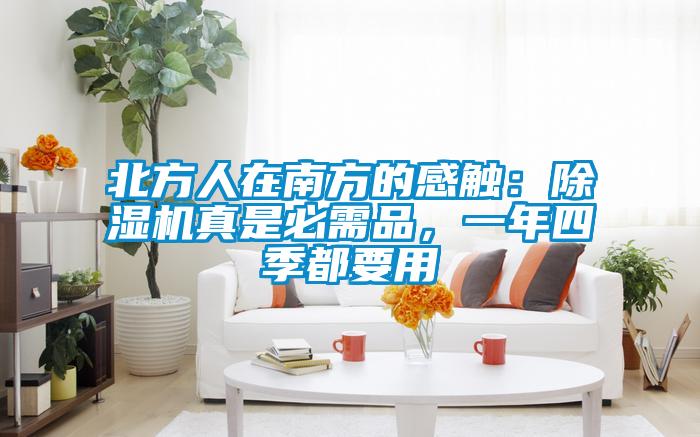 北方人在南方的感触：粉色视频免费在线观看真是必需品，一年四季都要用