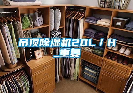 吊顶粉色视频免费在线观看20L／H_重复