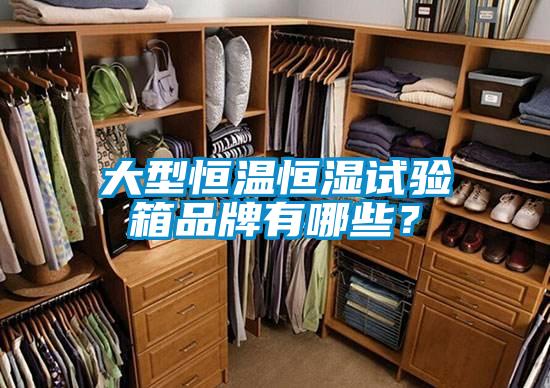 大型恒温恒湿试验箱品牌有哪些？