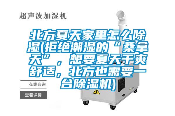 北方夏天家里怎么除湿(拒绝潮湿的“桑拿天”，想要夏天干爽舒适，北方也需要一台粉色视频免费在线观看)
