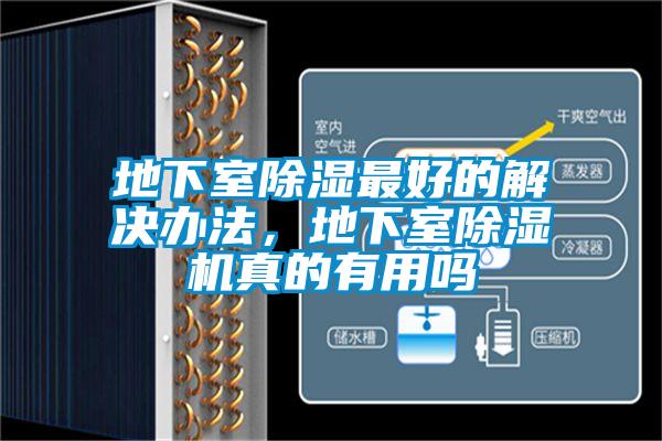 地下室除湿最好的解决办法，地下室粉色视频免费在线观看真的有用吗