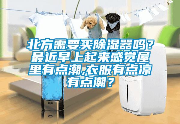 北方需要买除湿器吗？最近早上起来感觉屋里有点潮,衣服有点凉有点潮？