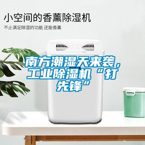 南方潮湿天来袭，工业粉色视频免费在线观看“打先锋”