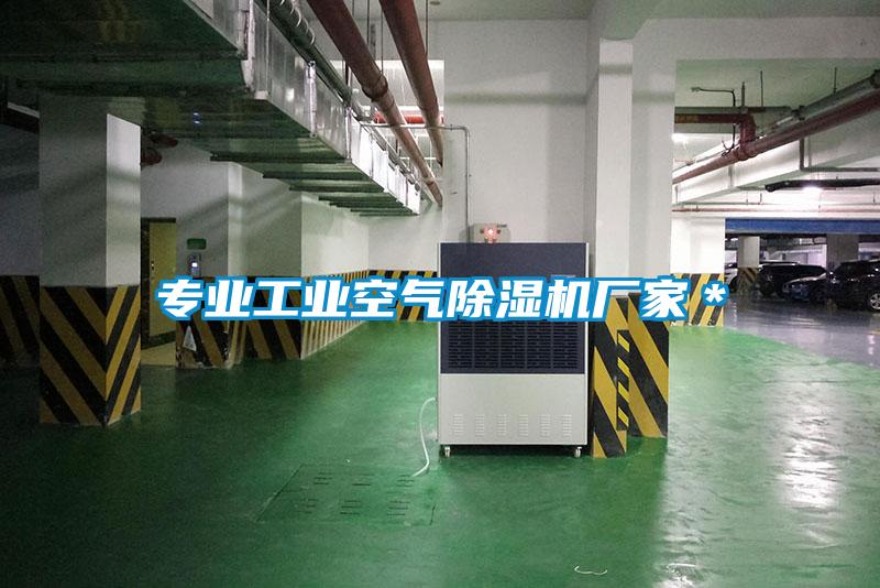 专业工业空气粉色视频免费在线观看厂家＊