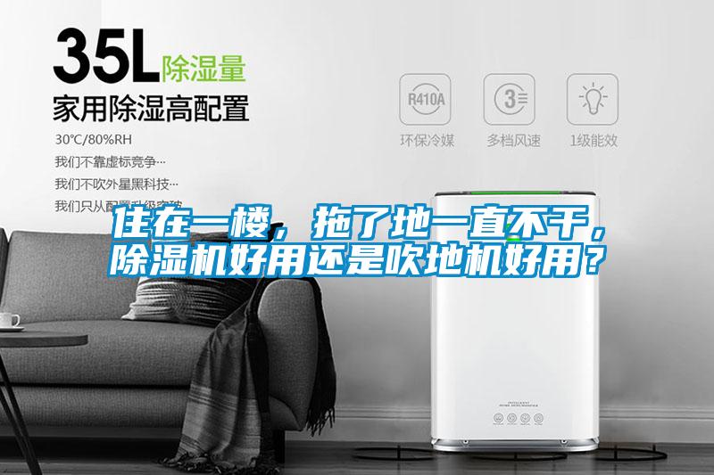 住在一楼，拖了地一直不干，粉色视频免费在线观看好用还是吹地机好用？