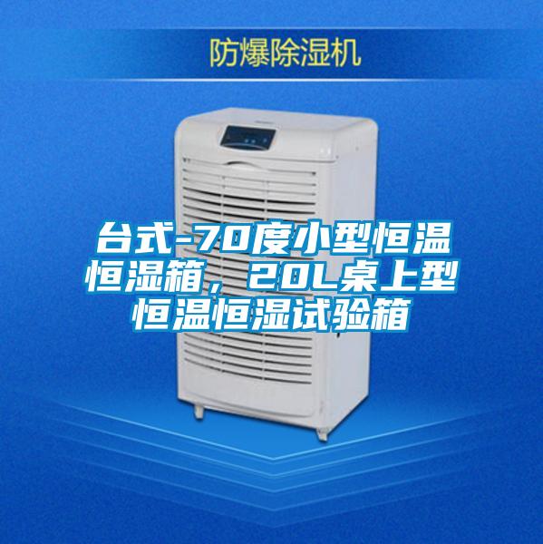 台式-70度小型恒温恒湿箱，20L桌上型恒温恒湿试验箱
