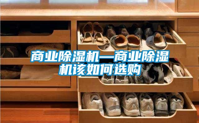 商业粉色视频免费在线观看—商业粉色视频免费在线观看该如何选购