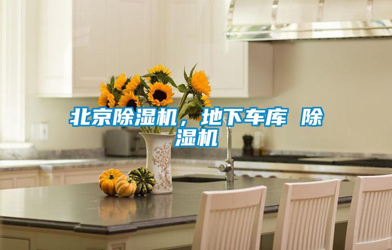 北京粉色视频免费在线观看，地下车库 粉色视频免费在线观看