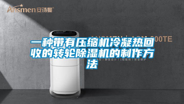 一种带有压缩机冷凝热回收的转轮粉色视频免费在线观看的制作方法