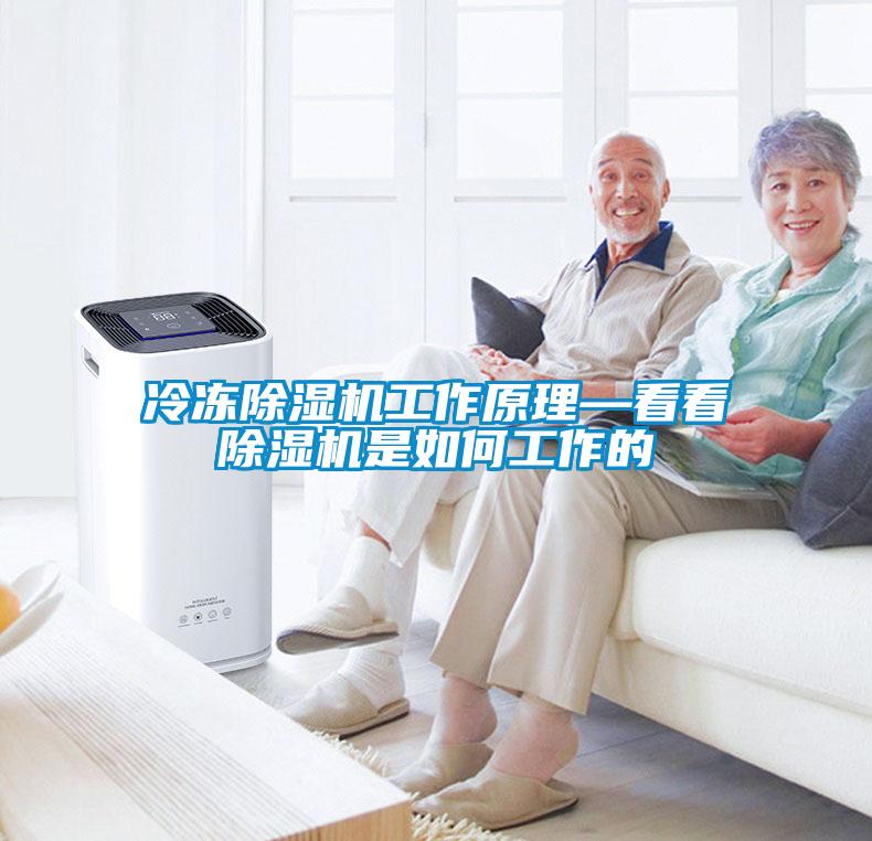 冷冻粉色视频免费在线观看工作原理—看看粉色视频免费在线观看是如何工作的