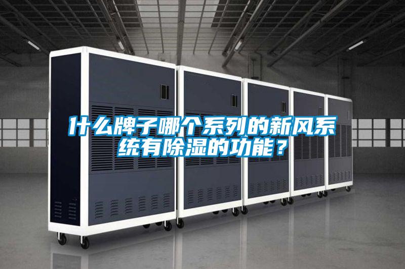 什么牌子哪个系列的新风系统有除湿的功能？
