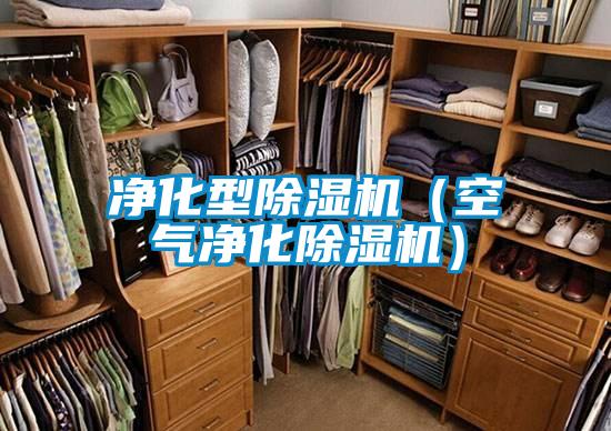 净化型粉色视频免费在线观看（空气净化粉色视频免费在线观看）