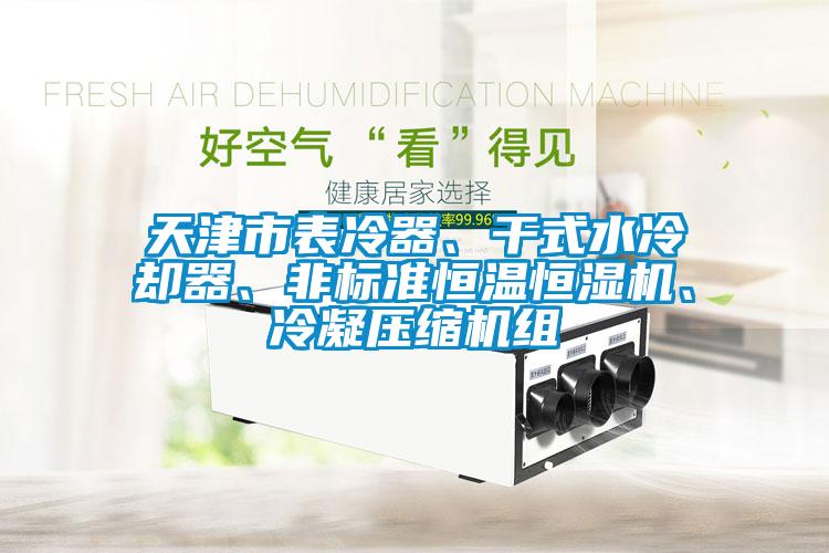 天津市表冷器、干式水冷却器、非标准恒温恒湿机、冷凝压缩机组